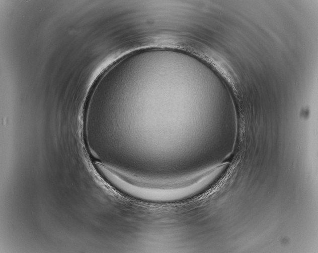 X0000098180944200805081021