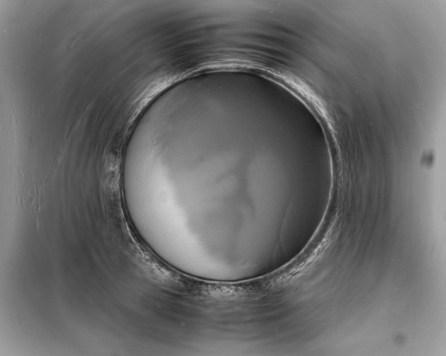 X0000098180945200805081021