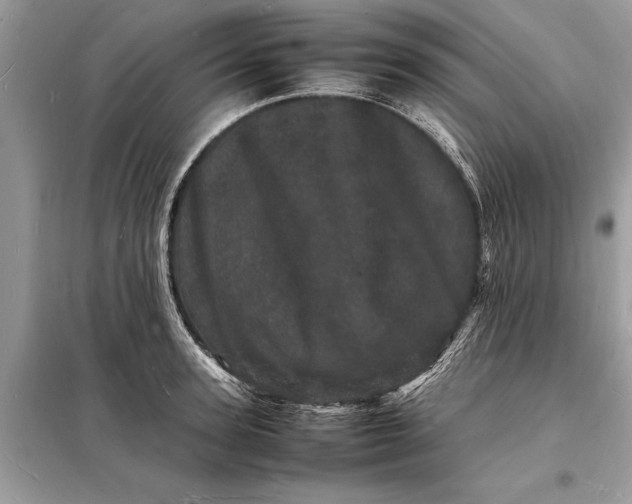 X0000098180947200805081021