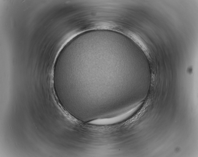 X0000098180948200805081021