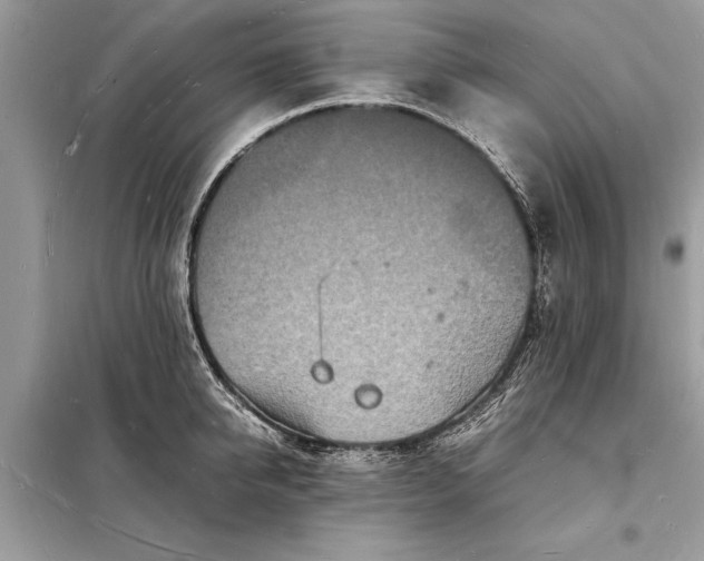 X0000098180950200805081021