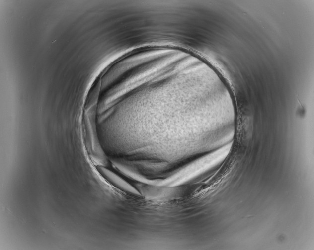 X0000098180951200805081021