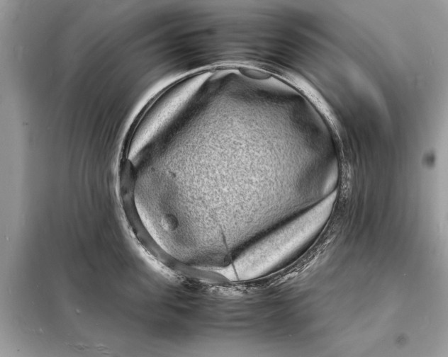 X0000098180955200805081021