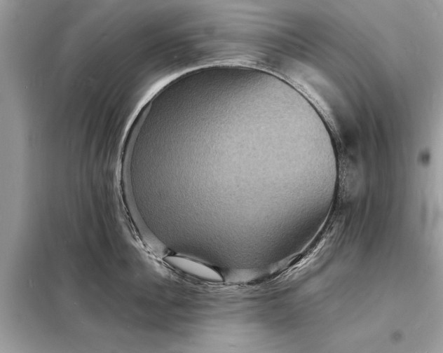 X0000098180956200805081021