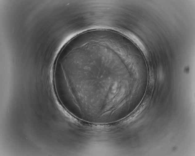 X0000098180958200805081021