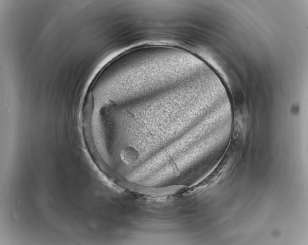 X0000098180959200805081021