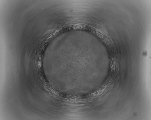 X0000098180962200805081020