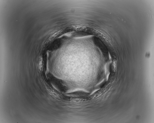 X0000098180963200805081020