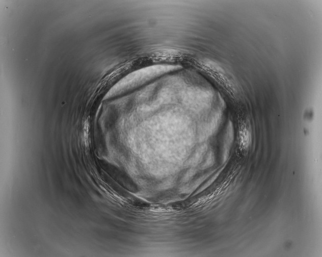 X0000098180964200805081020