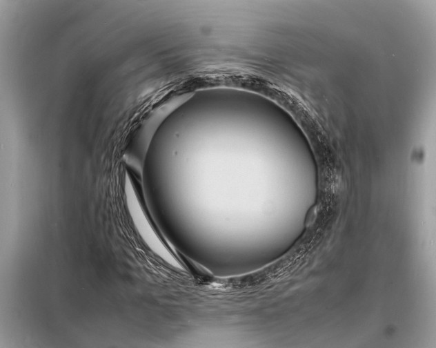 X0000098180965200805081020