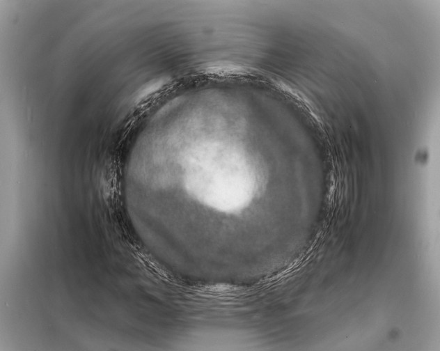 X0000098180966200805081020