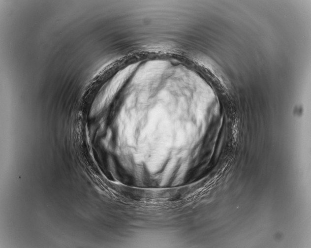 X0000098180968200805081020