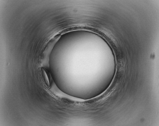 X0000098180969200805081020