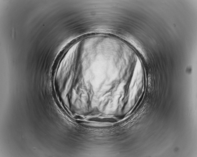 X0000098180972200805081020