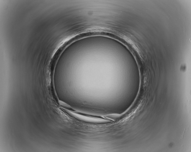 X0000098180973200805081020