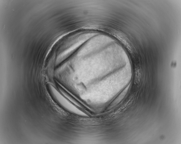 X0000098180976200805081020