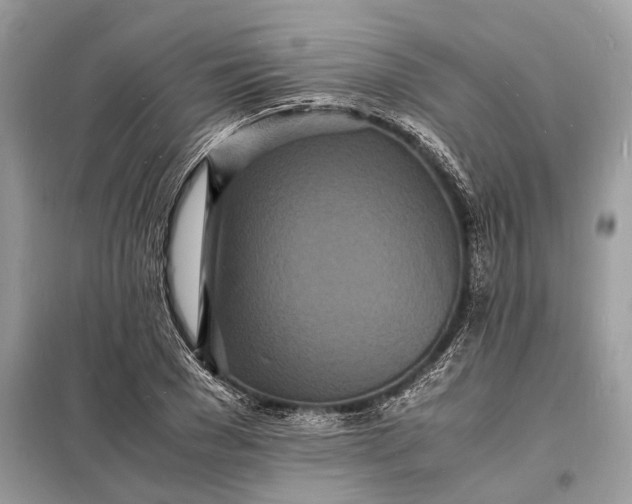 X0000098180977200805081020