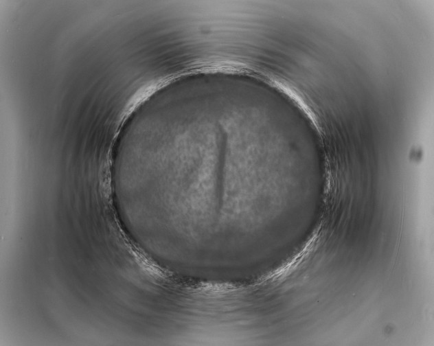 X0000098180978200805081020