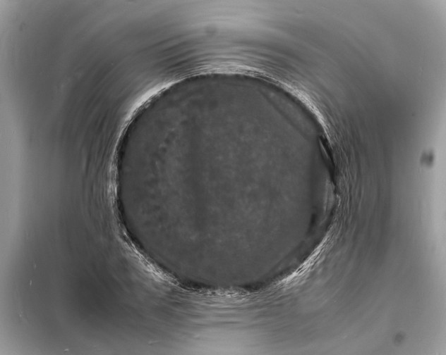 X0000098180979200805081020