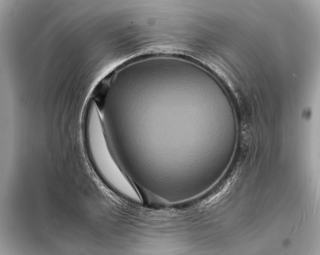 X0000098180981200805081020