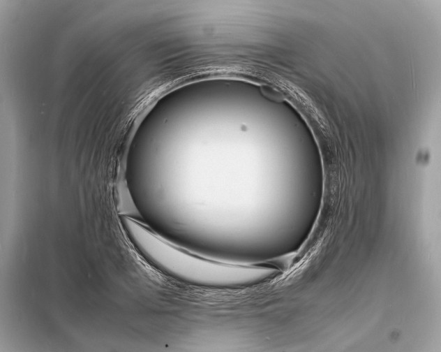 X0000098180985200805081020