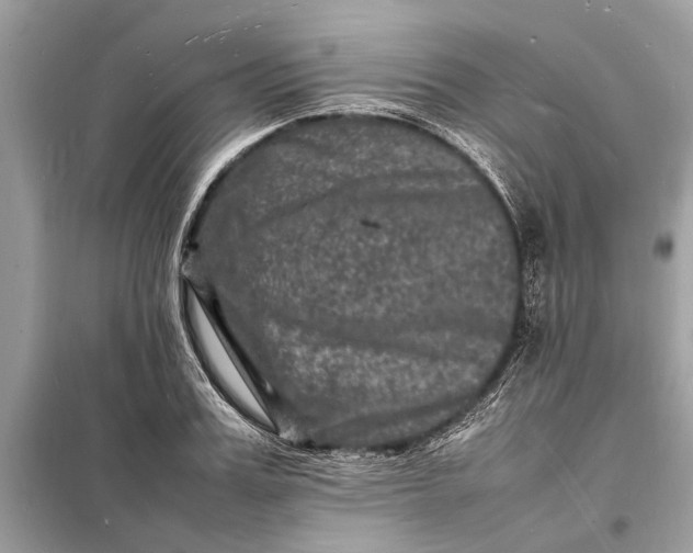 X0000098180987200805081020