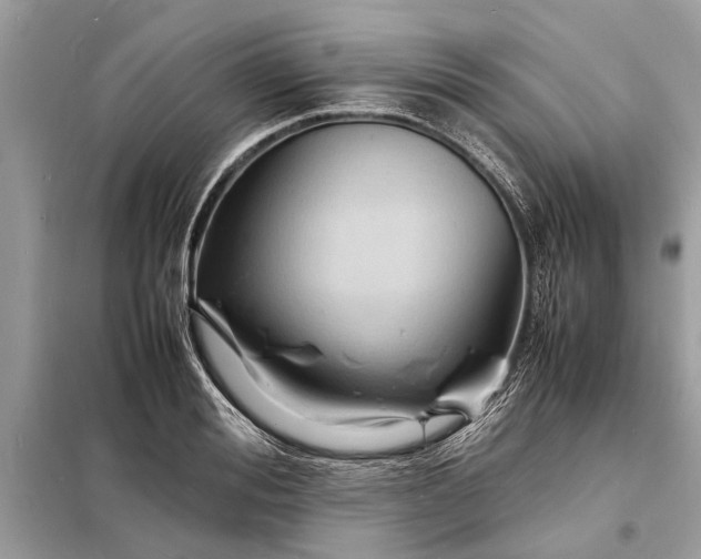 X0000098180988200805081020