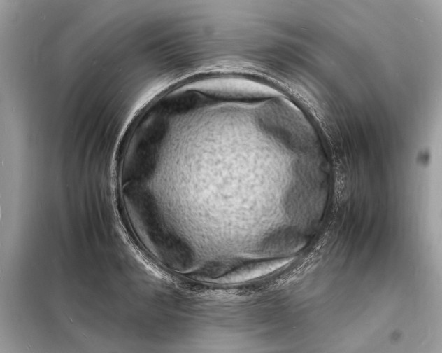 X0000098180990200805081020