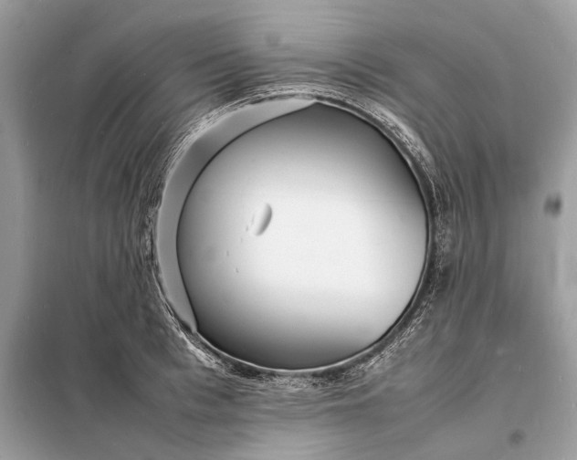 X0000098180993200805081020