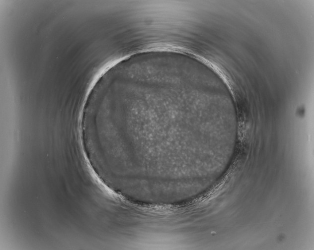 X0000098180995200805081020