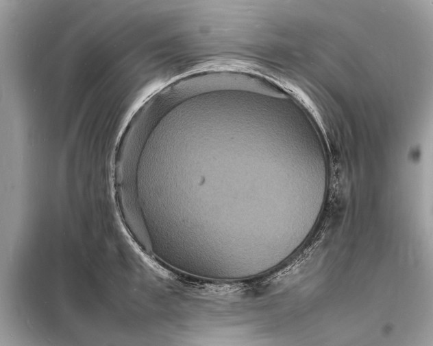 X0000098180997200805081020