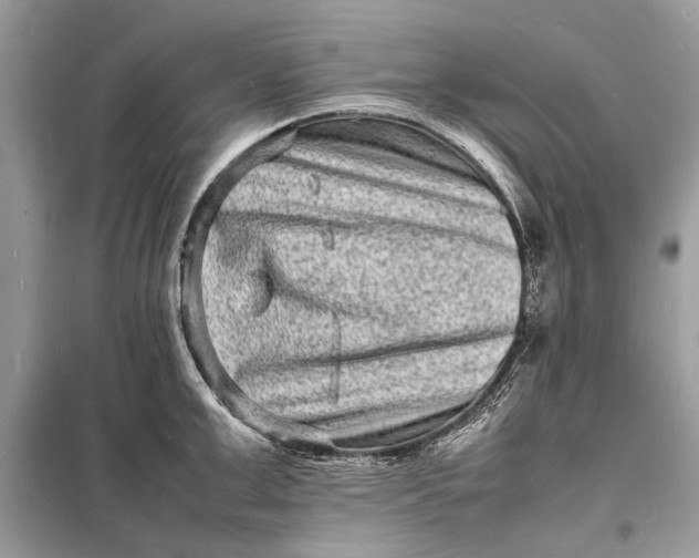 X0000098180999200805081020