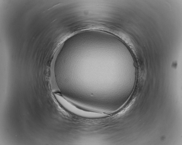 X0000098181001200805081020