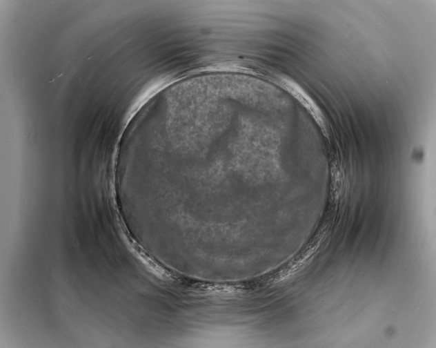 X0000098181002200805081020