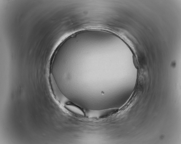 X0000098181005200805081020