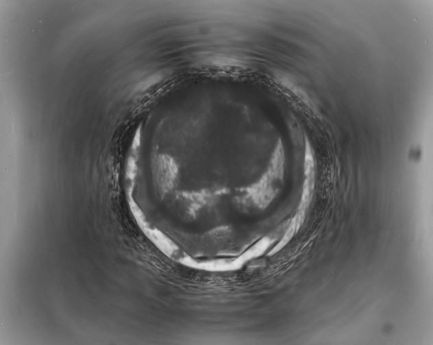 X0000098181013200805081019