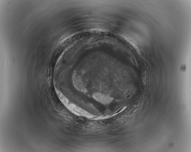 X0000098181015200805081019