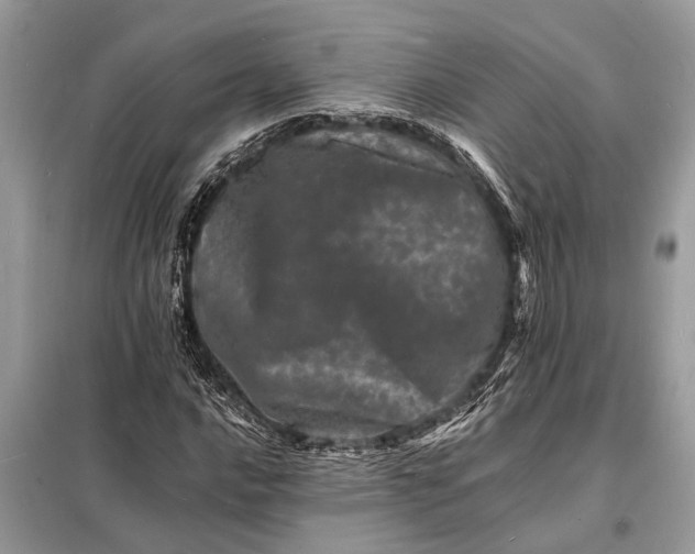 X0000098181016200805081019