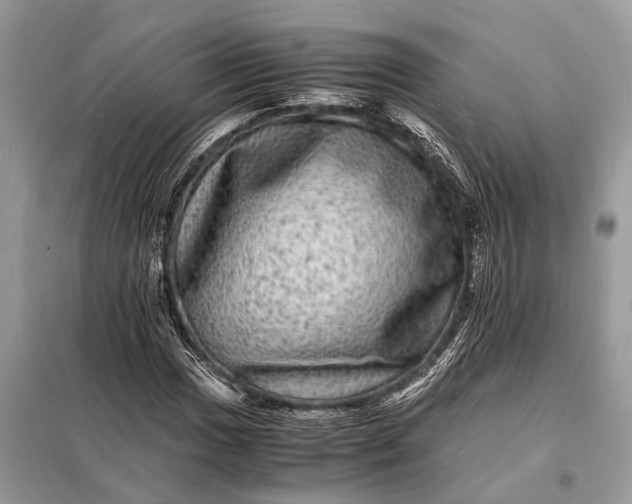 X0000098181017200805081019