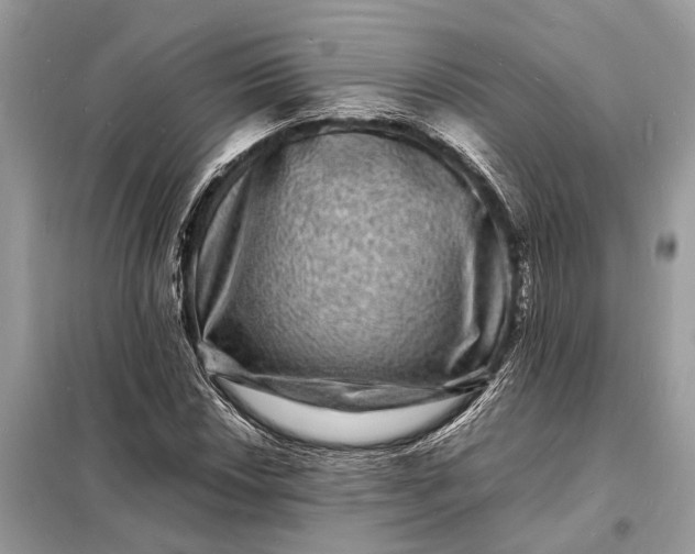 X0000098181018200805081019