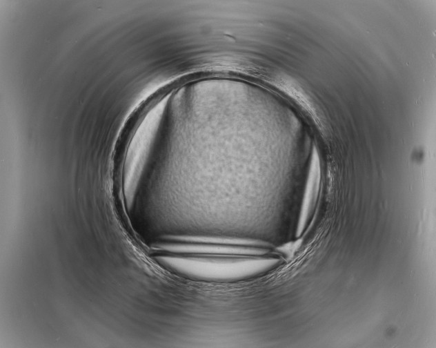 X0000098181020200805081019