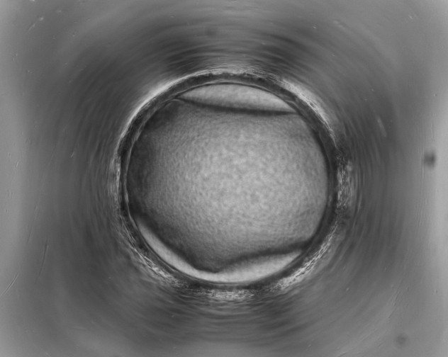 X0000098181021200805081019