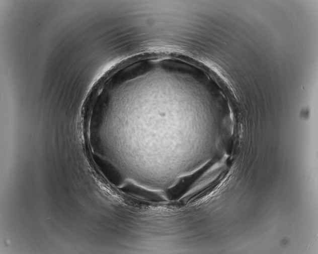 X0000098181022200805081019