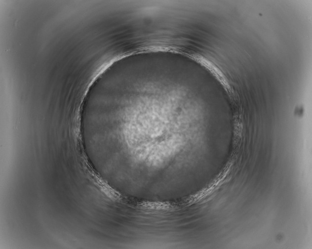 X0000098181023200805081019