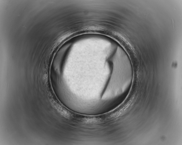 X0000098181025200805081019