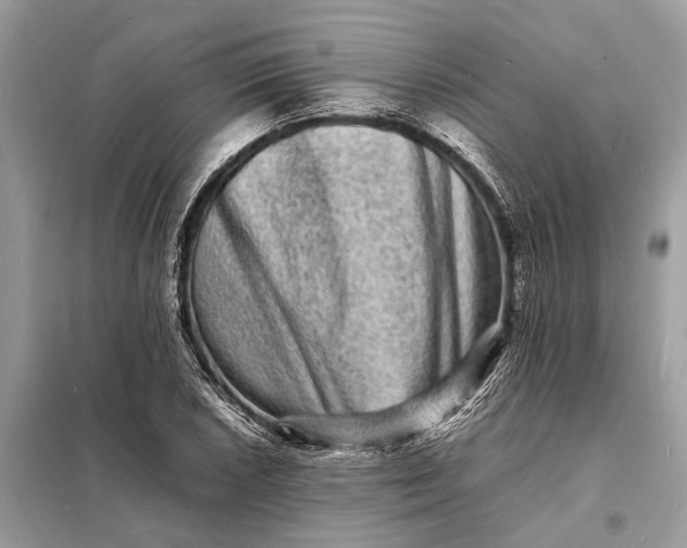 X0000098181026200805081019