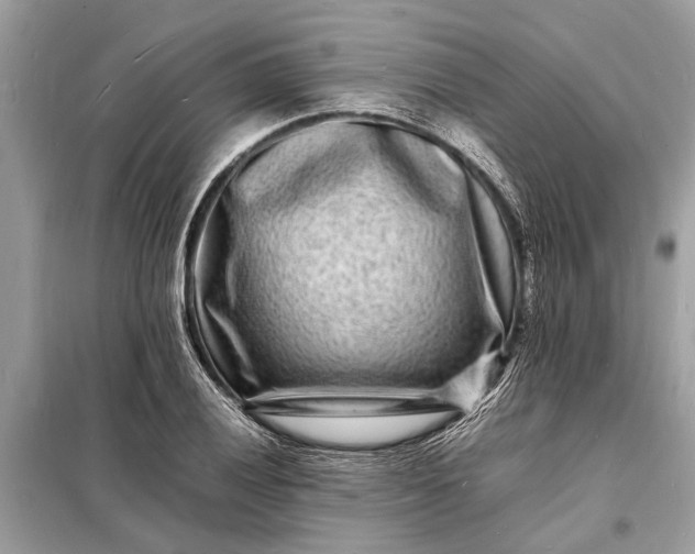 X0000098181028200805081019