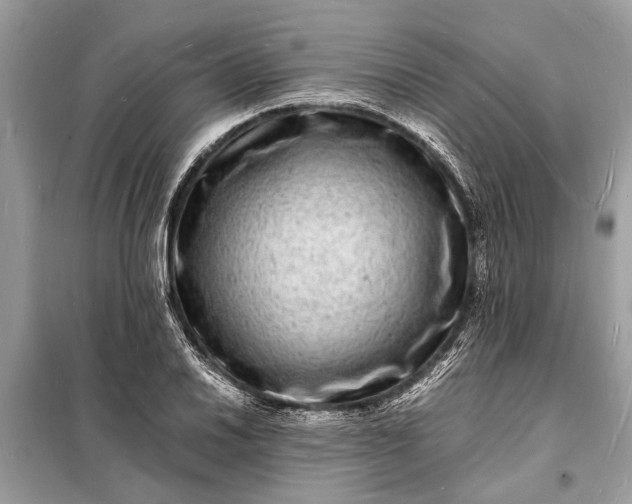 X0000098181030200805081019