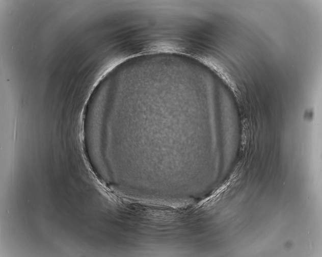 X0000098181031200805081019