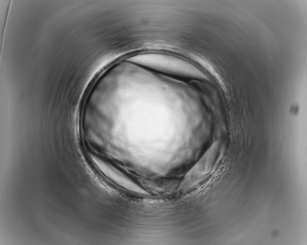 X0000098181032200805081019